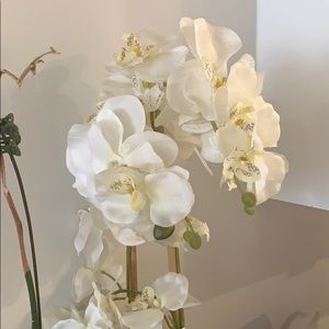 Meet your Posher, Hana